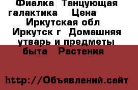 Фиалка “Танцующая галактика“ › Цена ­ 160 - Иркутская обл., Иркутск г. Домашняя утварь и предметы быта » Растения   